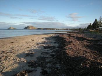Wintergarden Beach Cabin Victor Harbor Exterior photo